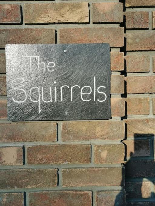 Apartament The Squirrels- Alresford, Essex Zewnętrze zdjęcie